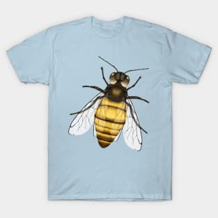 Bee pencil drawing color version T-Shirt